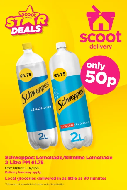 NP9 Schweppes Lemon